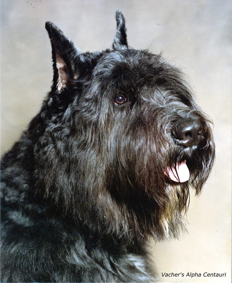 Tory photo
