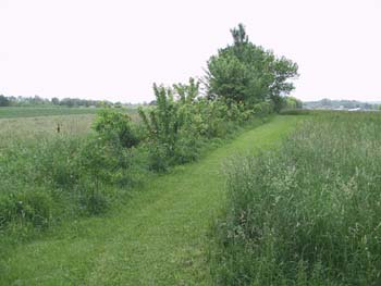 eastfence2