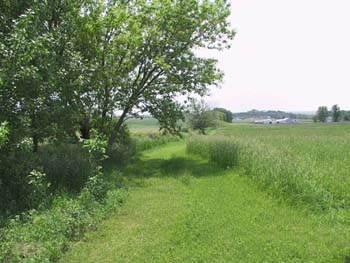 eastfence3
