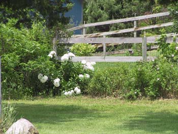housefenceS1