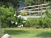 housefenceS1